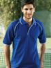 Picture of Unisex Adults Raglan Polo