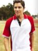 Picture of Mens Panel Polo