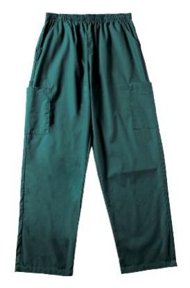 Picture of Mens Scrubs Pants