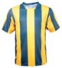 Picture of Unisex Adults Sublimated Striped Football Jersey