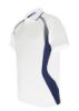 Picture of Unisex Adults Sports Panel Polo