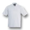 Picture of Plain Colour Poly Face Cotton Backing Short Sleeve Polo