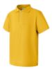 Picture of Short Sleeve Polo