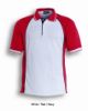 Picture of Mens Panel Polo