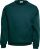 Picture of Kids Crew Neck Fleece